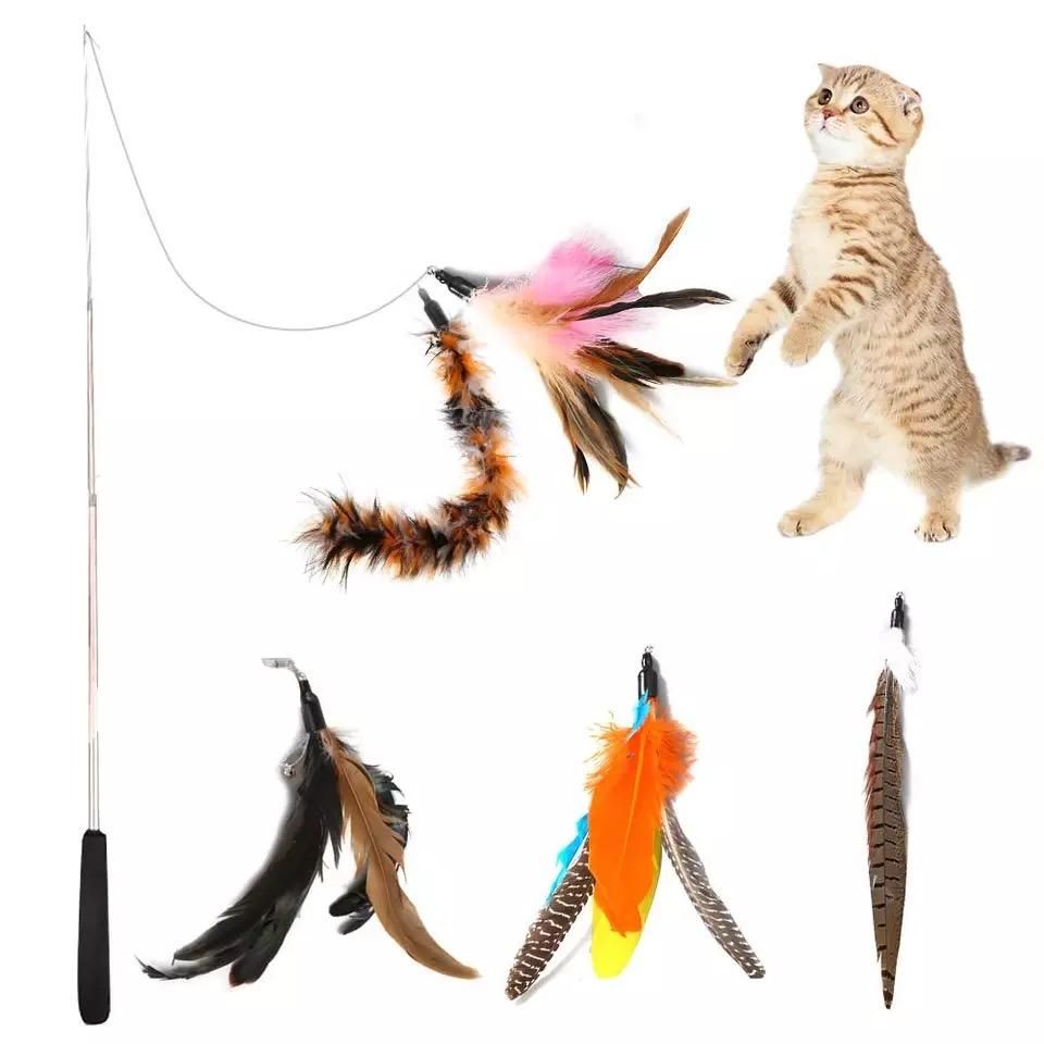 5pcs MultiColor Cat Toys with Springs, Telescopic
