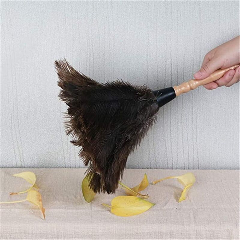 Feather Dusters for Home and Office, Ostrich Feathers, Ostrich Feather Dusters, Natural Ostrich Feathers