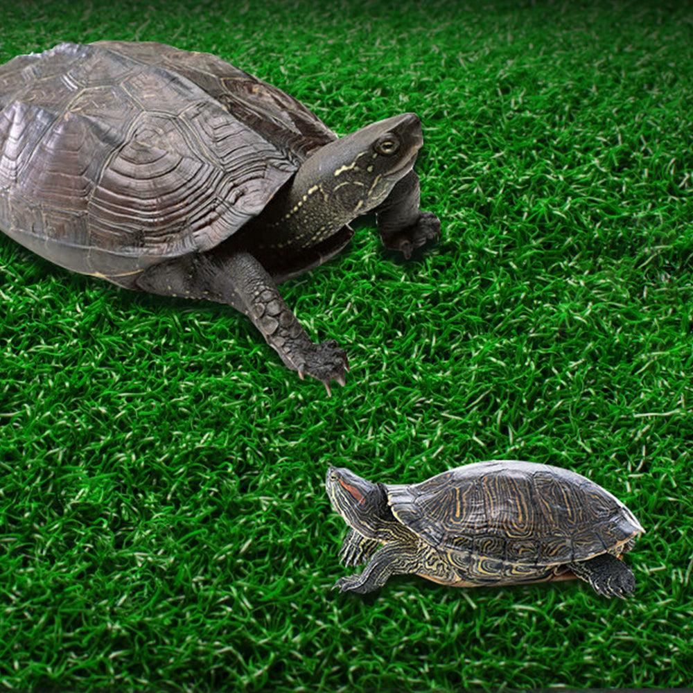 Turtle Basking Platform Simulation Grass Turtle Ramp for Fish Tank Aquarium - S