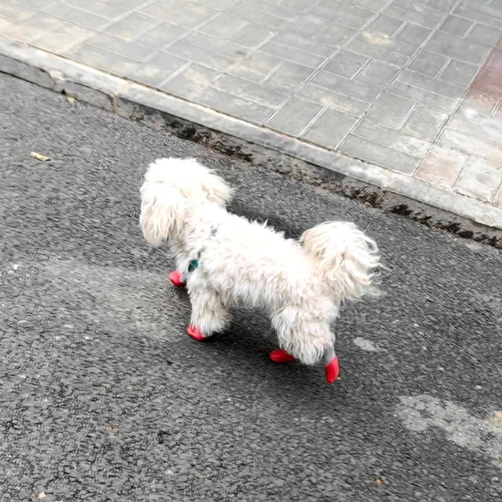 Waterproof Anti Slip Pet Shoes with Rubber Sole for Indoor and Outdoor Use Red - XL