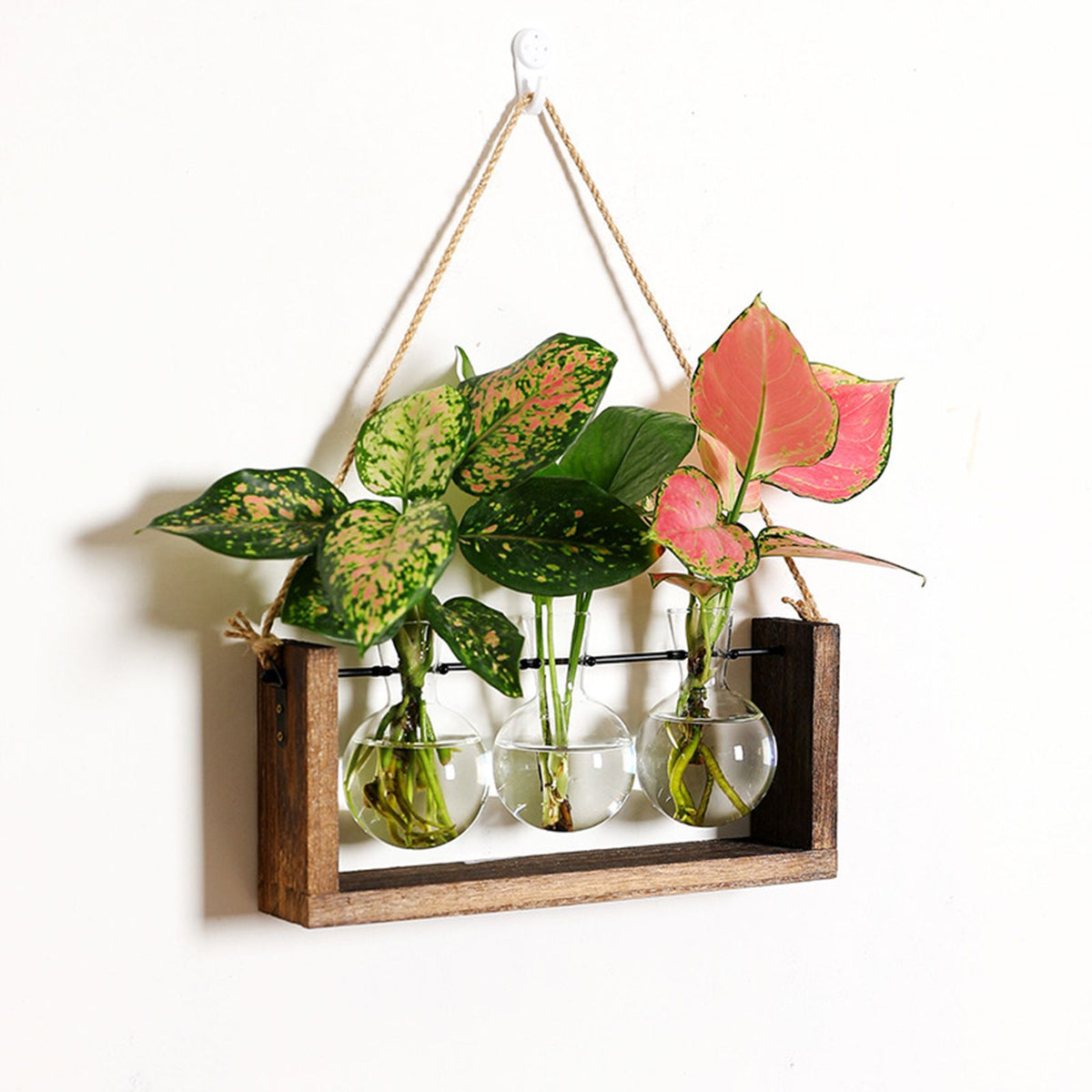 Wall Mounted Hydroponic Vase Green Plant Wooden Frame Vase for Living Room Home Decor