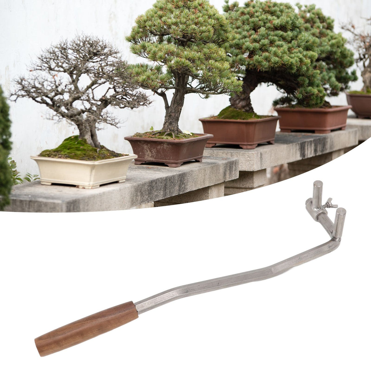 Bonsai Branch Bending Tool Professional High Accuracy Stainless Steel Bonsai Branch Bender for Courtyard Garden M12