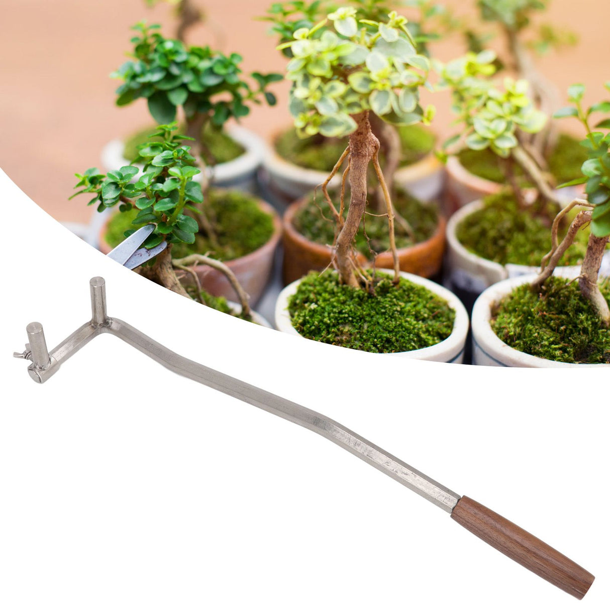 Bonsai Branch Bending Tool Professional High Accuracy Stainless Steel Bonsai Branch Bender for Courtyard Garden M14