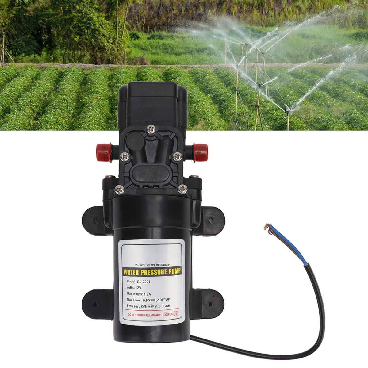 Water Pressure Diaphragm Pump Self Priming Diaphragm Pump High Pressure Water Pump for Outdoor RL 2201 12V