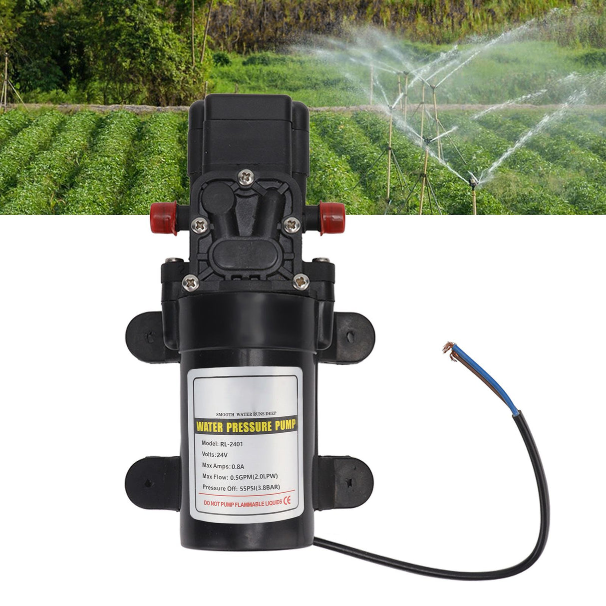 Water Pressure Diaphragm Pump Self Priming Diaphragm Pump High Pressure Water Pump for Outdoor RL 2401 24V