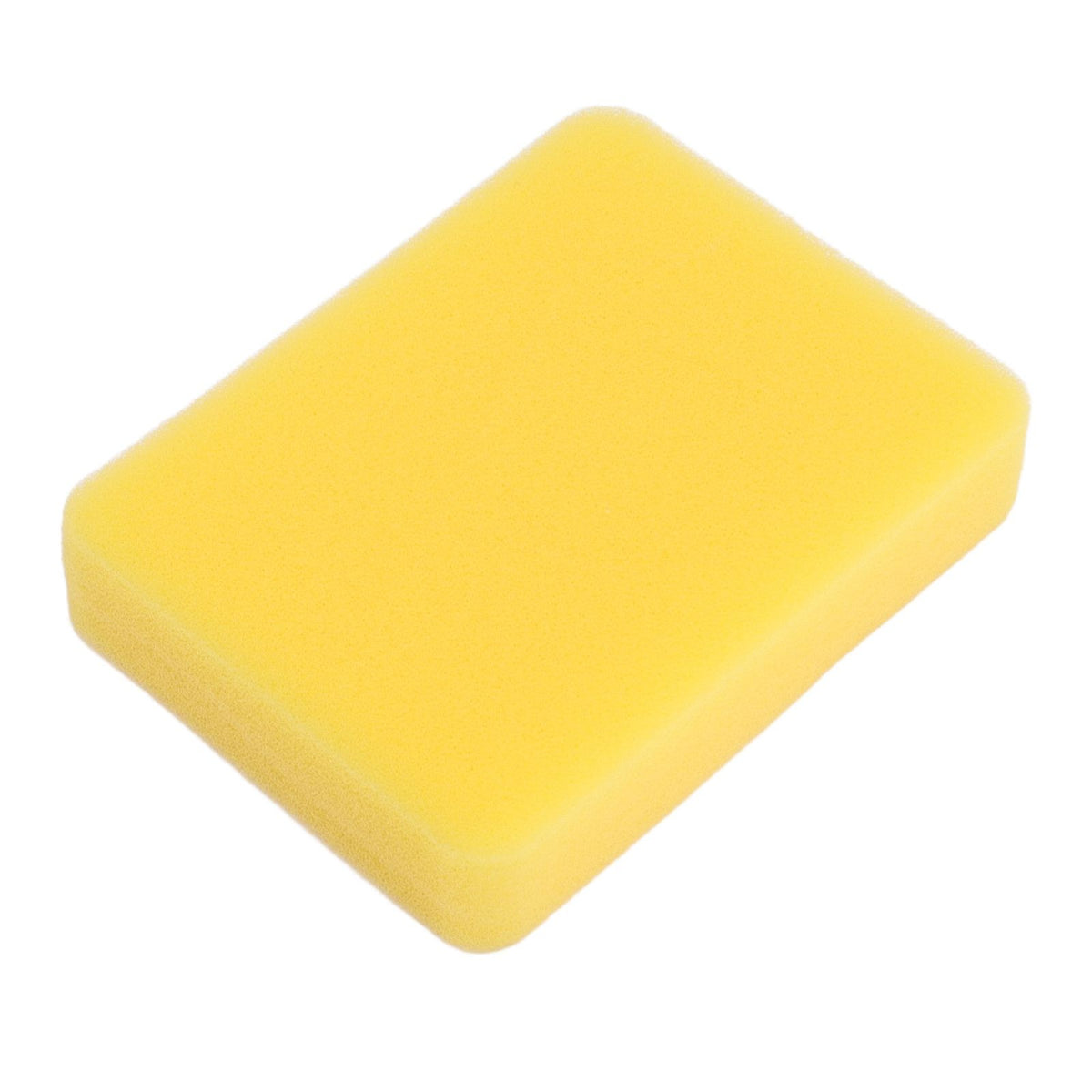 10 PCS 799579 Air Filter for 300e 450e 500e Series Engine Replacement Air Filter Accessories