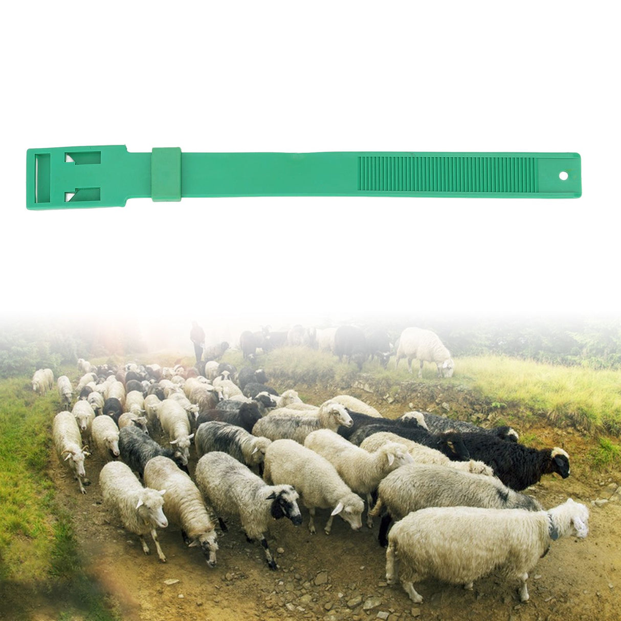 10Pcs Goat Collar Sheep Identification Bands Livestock Marking Ring Farming Equipment 36cm Green