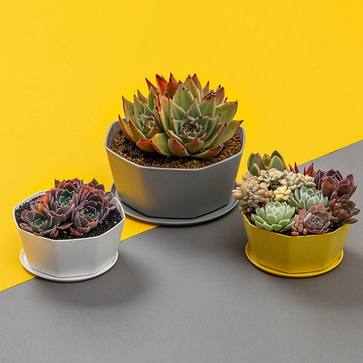 6PCS Planter Plastic Plant Pot Flower Container with Thickened Tray for Indoor Outdoor Garden