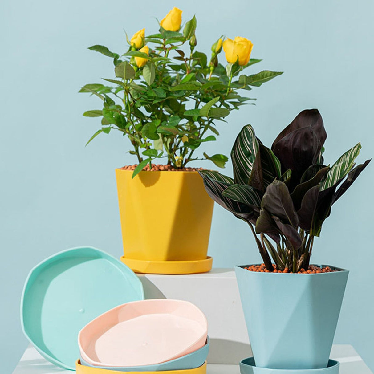 6PCS Planter Plastic Plant Pot Flower Container with Thickened Tray for Indoor Outdoor Garden