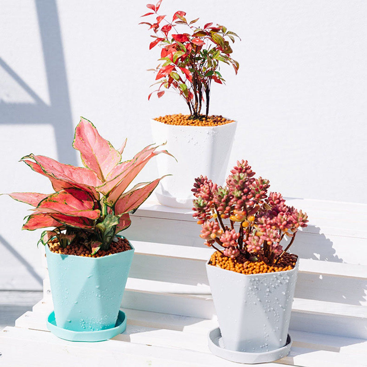 6PCS Planter Plastic Plant Pot Flower Container with Thickened Tray for Indoor Outdoor Garden