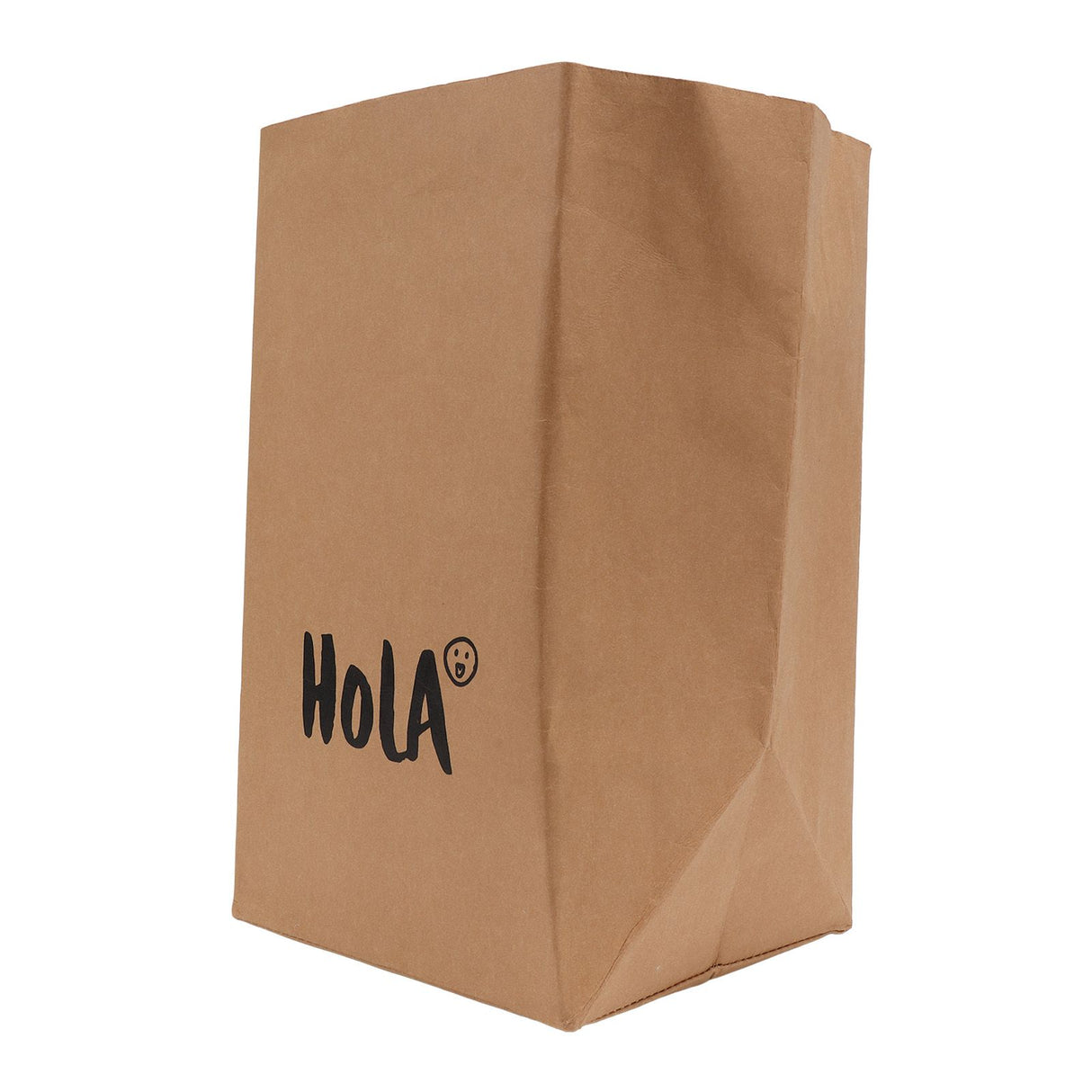 Paper Bag Water Washing Large Capacity Grocery Storage Kraft Paper Bag for Home Kitchen Extra Large Size HOLA Pattern