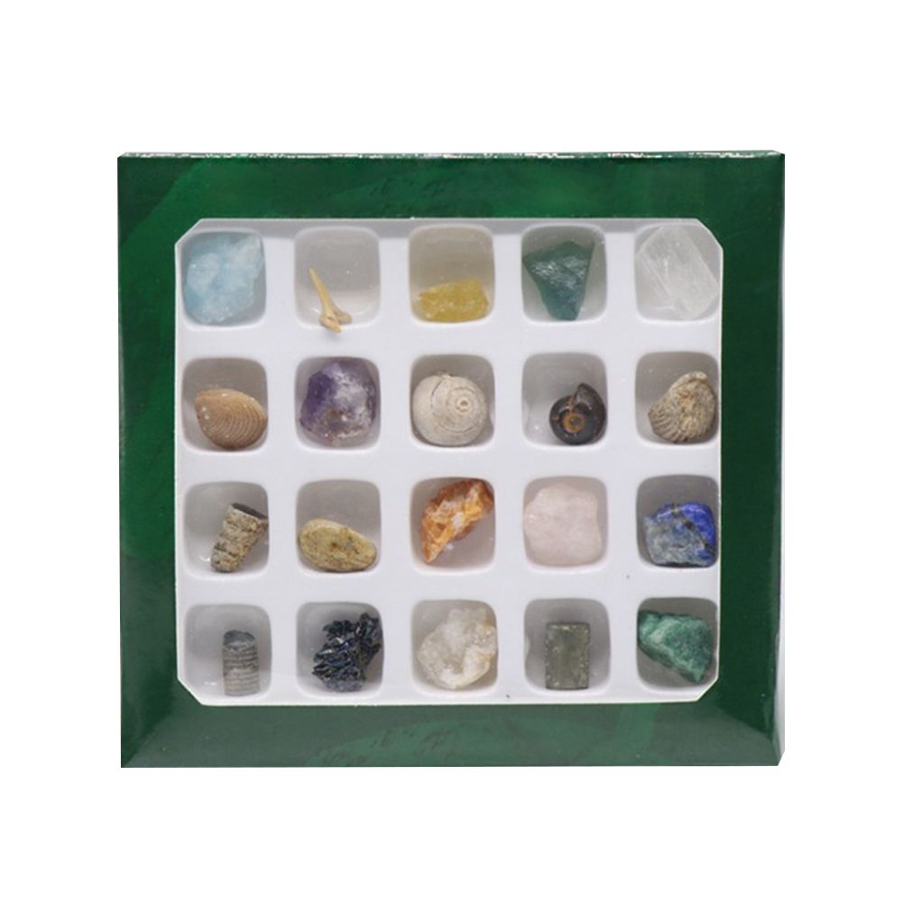 20 kinds of Mini Size Natural Crystal Agate Stone Rocks Minerals Fossils Kids Teaching Materials for Geology Enthusiasts Collection Gifts