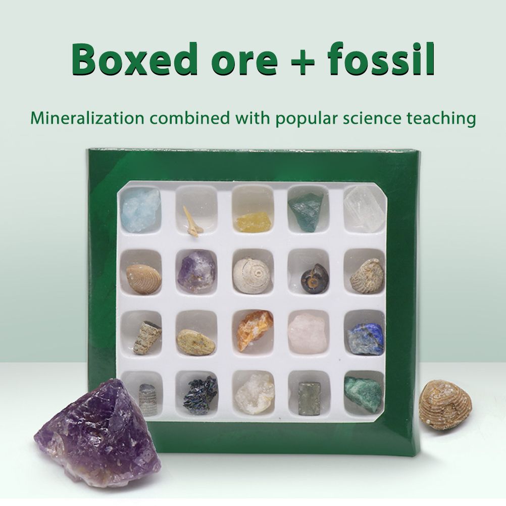 20 kinds of Mini Size Natural Crystal Agate Stone Rocks Minerals Fossils Kids Teaching Materials for Geology Enthusiasts Collection Gifts