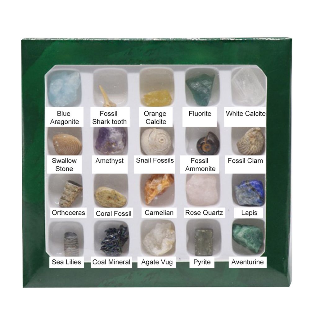 20 kinds of Mini Size Natural Crystal Agate Stone Rocks Minerals Fossils Kids Teaching Materials for Geology Enthusiasts Collection Gifts
