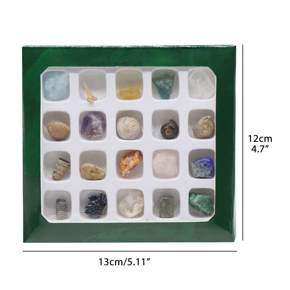 20 kinds of Mini Size Natural Crystal Agate Stone Rocks Minerals Fossils Kids Teaching Materials for Geology Enthusiasts Collection Gifts
