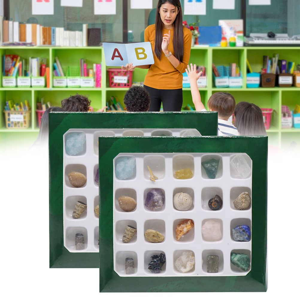 20 kinds of Mini Size Natural Crystal Agate Stone Rocks Minerals Fossils Kids Teaching Materials for Geology Enthusiasts Collection Gifts