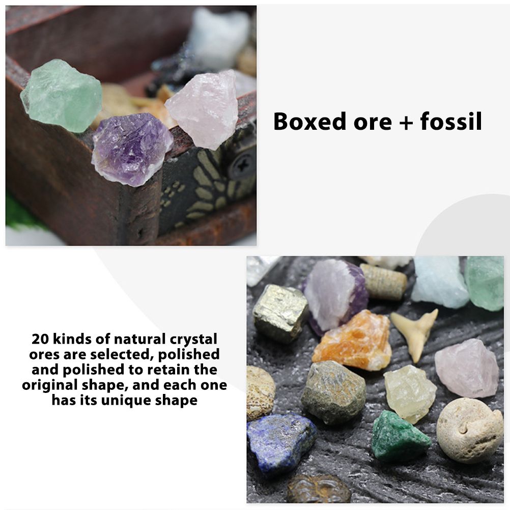 20 kinds of Mini Size Natural Crystal Agate Stone Rocks Minerals Fossils Kids Teaching Materials for Geology Enthusiasts Collection Gifts