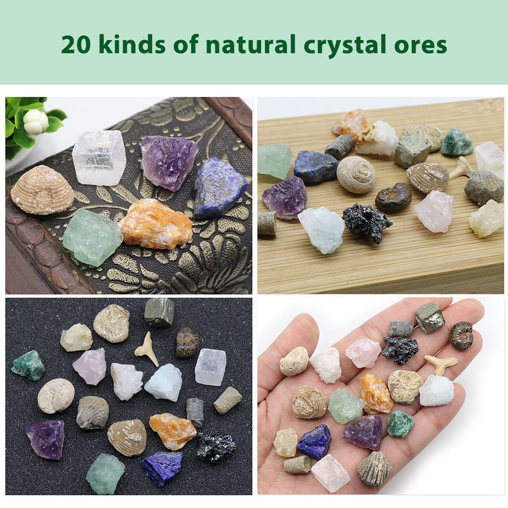 20 kinds of Mini Size Natural Crystal Agate Stone Rocks Minerals Fossils Kids Teaching Materials for Geology Enthusiasts Collection Gifts