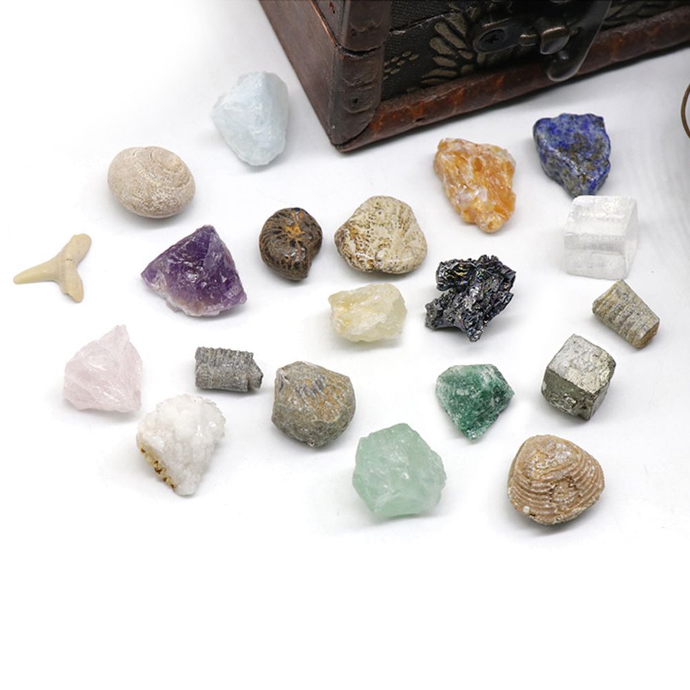 20 kinds of Mini Size Natural Crystal Agate Stone Rocks Minerals Fossils Kids Teaching Materials for Geology Enthusiasts Collection Gifts