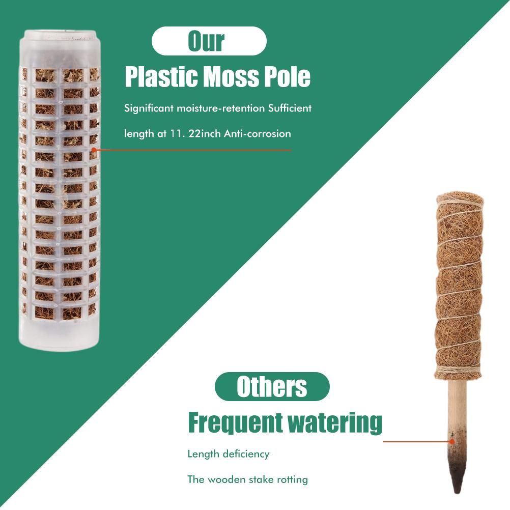 Moss Pole 25cm Plastics Coir Moss Totem Pole Stick for Plant Stakes and Supports Climbing Indoor Plants