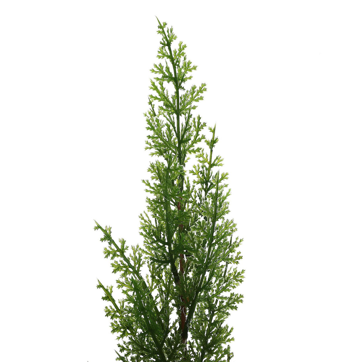 Simulation of Cypress Branches Leaves Simulation Plants for Home Decoration