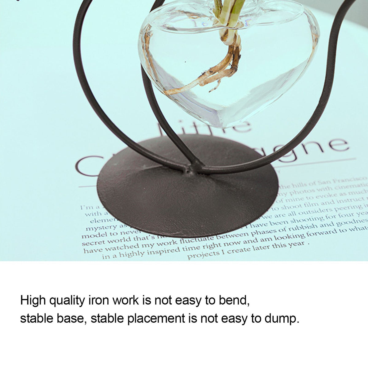 Simple Cat Iron Flower Ware Hydroponic Flower Arrangement Vase