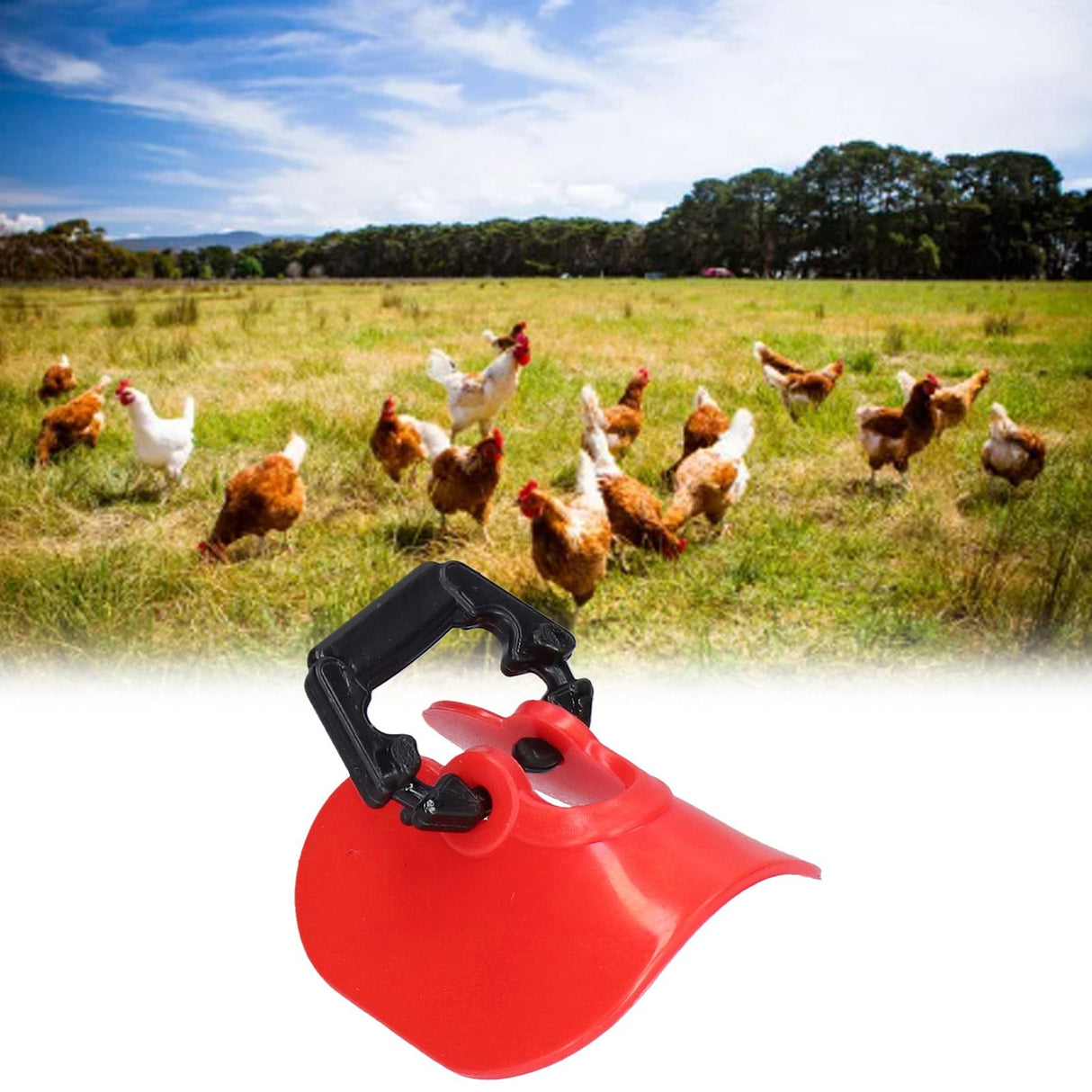 100Set Chicken Eye Glasses with Plugs Anti Pecking Chicken Peeper Blinders Poultry Farm EquipmentM
