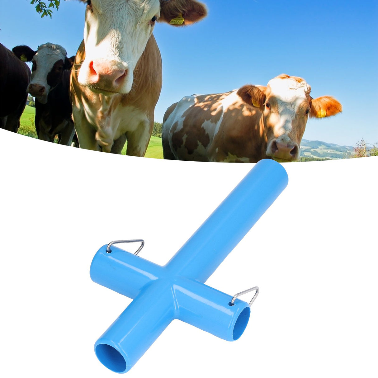 Cow Cattle Mouth Opener Veterinary Mouth Opening Tool Animals Livestock Breeding Equipment for FarmS