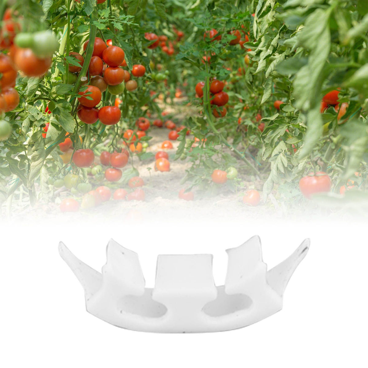 100Pcs Plant Support Clips Durable Plastic Grow Upright Vine Fixation Wide Application Tomato Clips for Grape Vegetable