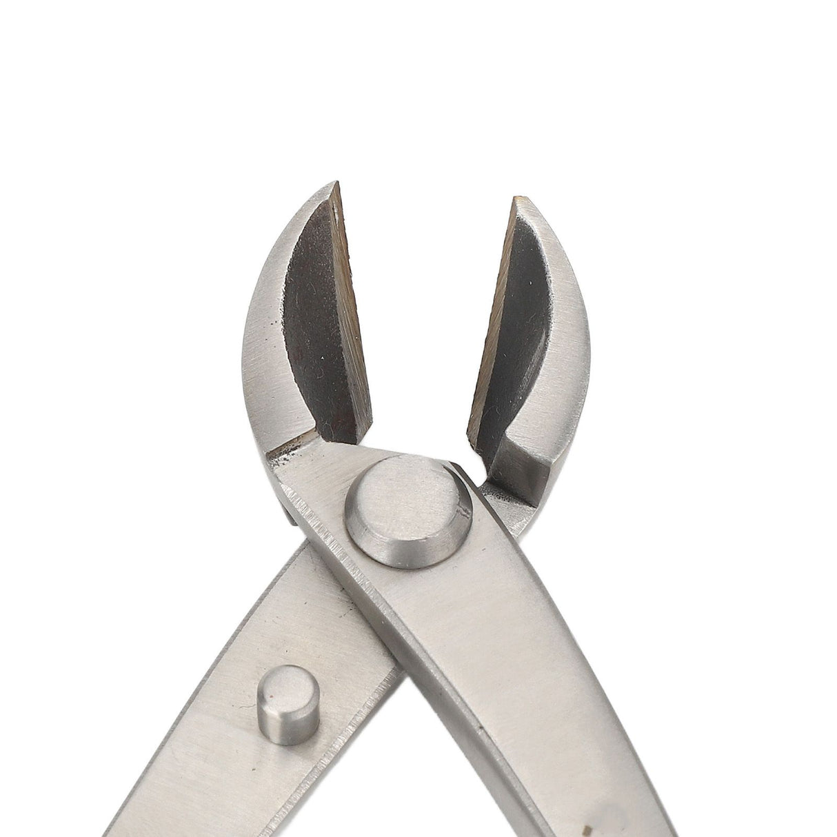 Bonsai Scissors 165mm Stainless Steel Scissors with Ergonomic Handle for Bonsai Modeling Flower Flower Arrangement