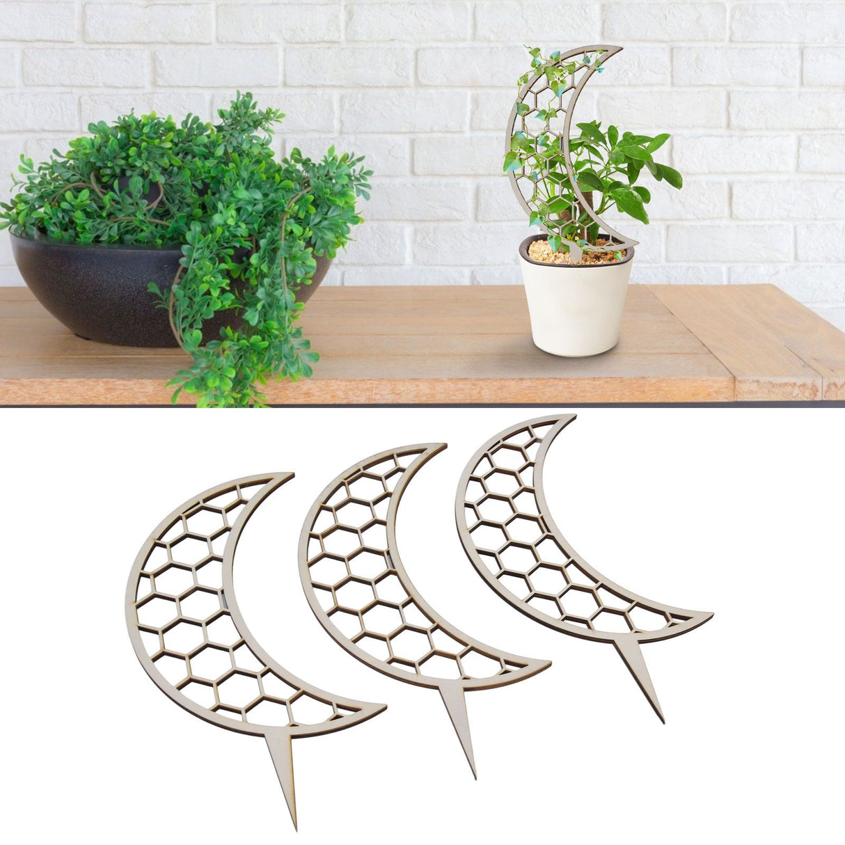 3 Pcs Vines Climbing Support Unique Design Composite Wood 30cm Flower Climbing Rack for Plant Modeling Moon Style