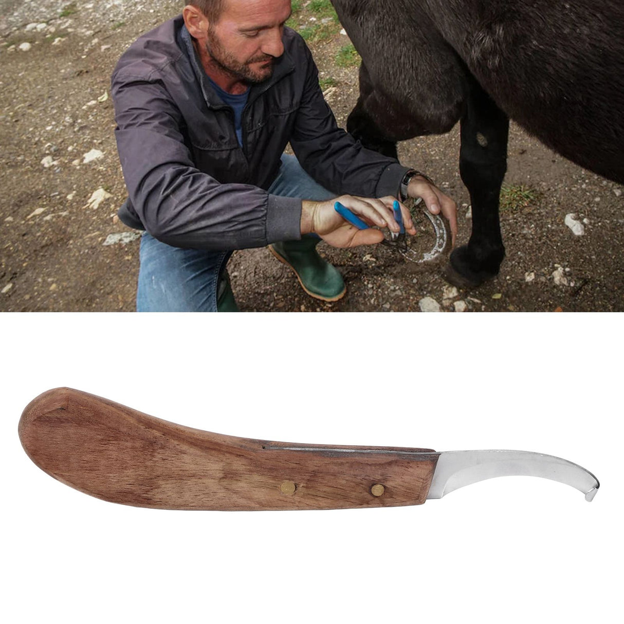 Horse Hoof Knife Curved Fine Carbon Steel Blade Ergonomic Left Hand Hoof Trimmer for Farm