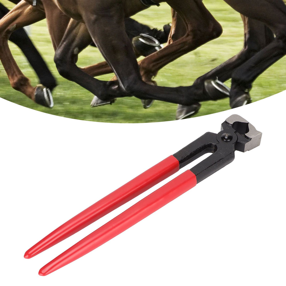 12in Horse Hoof Trimmer Steel Hoof Nipper Cutter Shoeing Trimming Tool for Livestock Farm