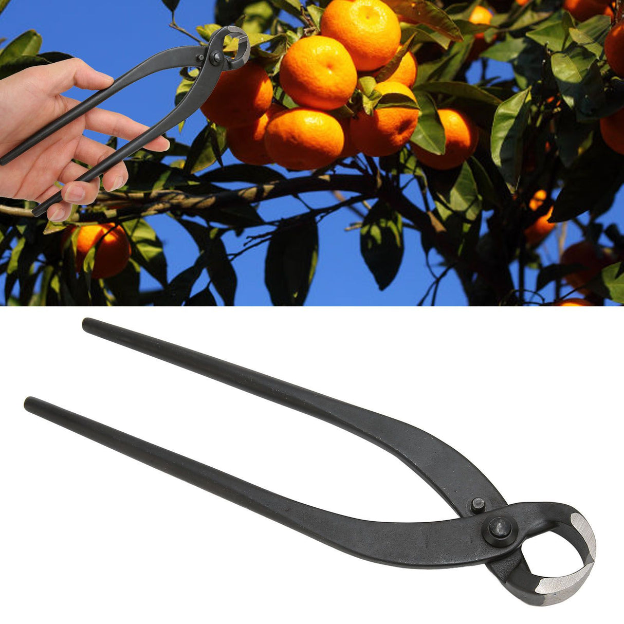 Bonsai Branch Cutter Professional Manganese Steel Bonsai Trim Pliers for Flowers Fruit Trees Bonsai 8.3in