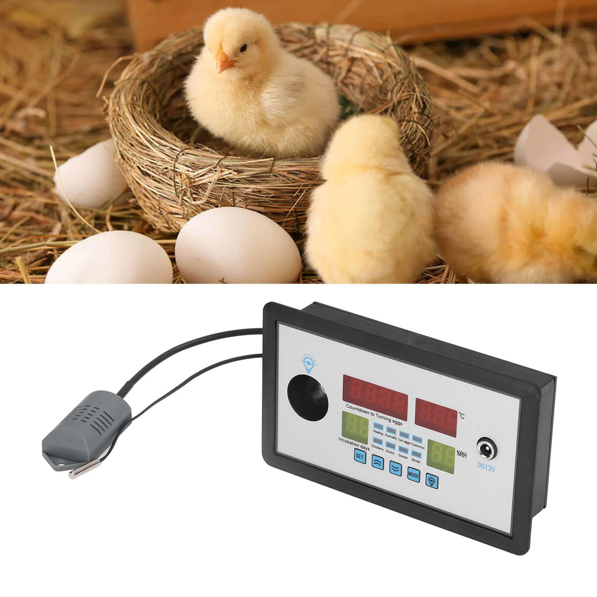 Intelligent Incubator Thermostat Automatic Egg Incubator Controller Thermostat for Eggs Duck Eggs Goose Eggs 12V