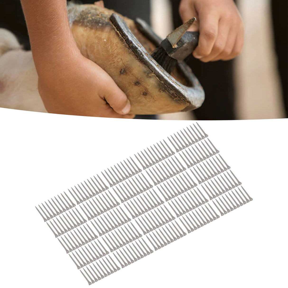 250PCS Horseshoe Nails Portable Small High Hardness Animal Husbandry Low Carbon Steel Horseshoe Nails Farrier Tools