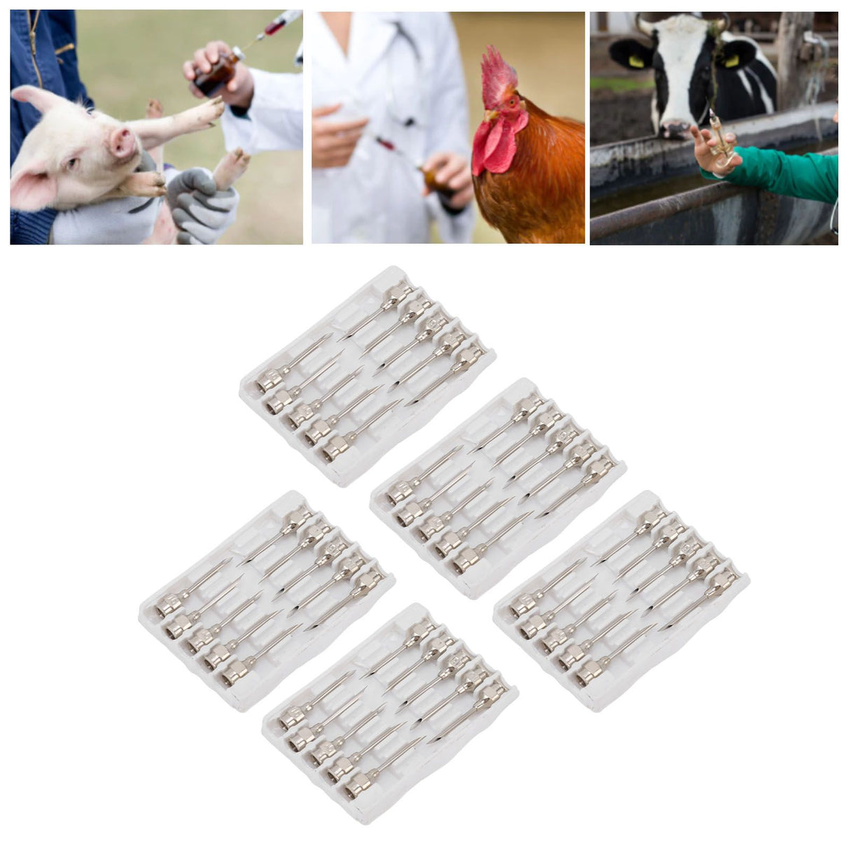 Poultry Injection Needles Stainless Steel Bovine Pig Injection Needle Cow Pig Injection Needle Accessories 16x20mm / 0.6x0.8in