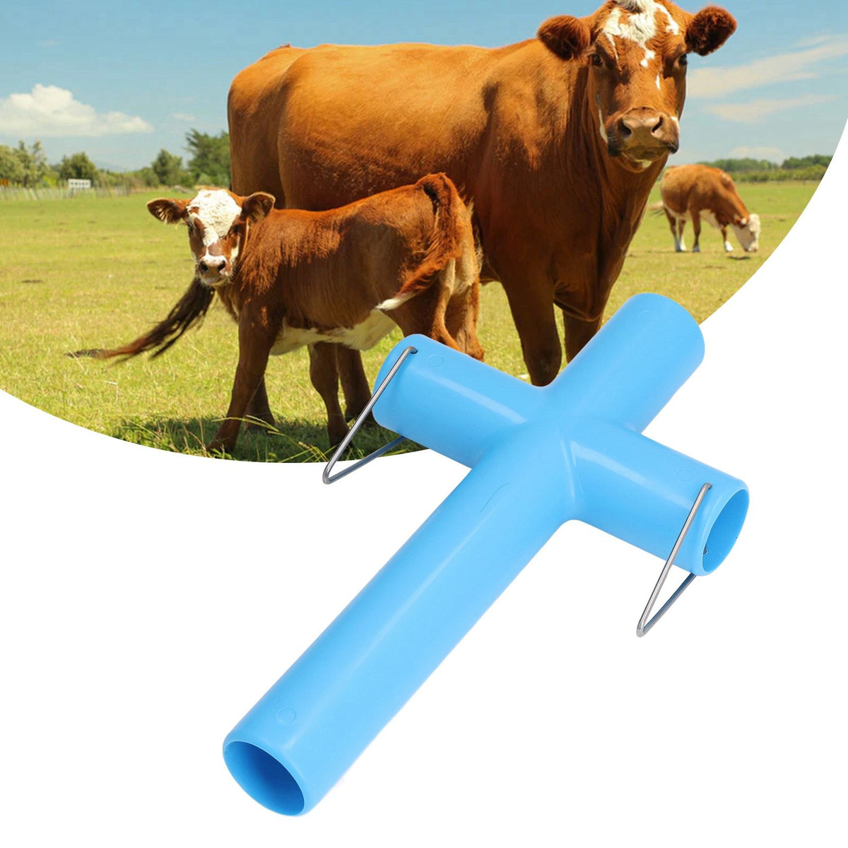 Cow Sheep Mouth Opener Gastric Lavage Veterinary Mouth Opening Tool Animals Livestock Breeding Equipment for Farm Blue L