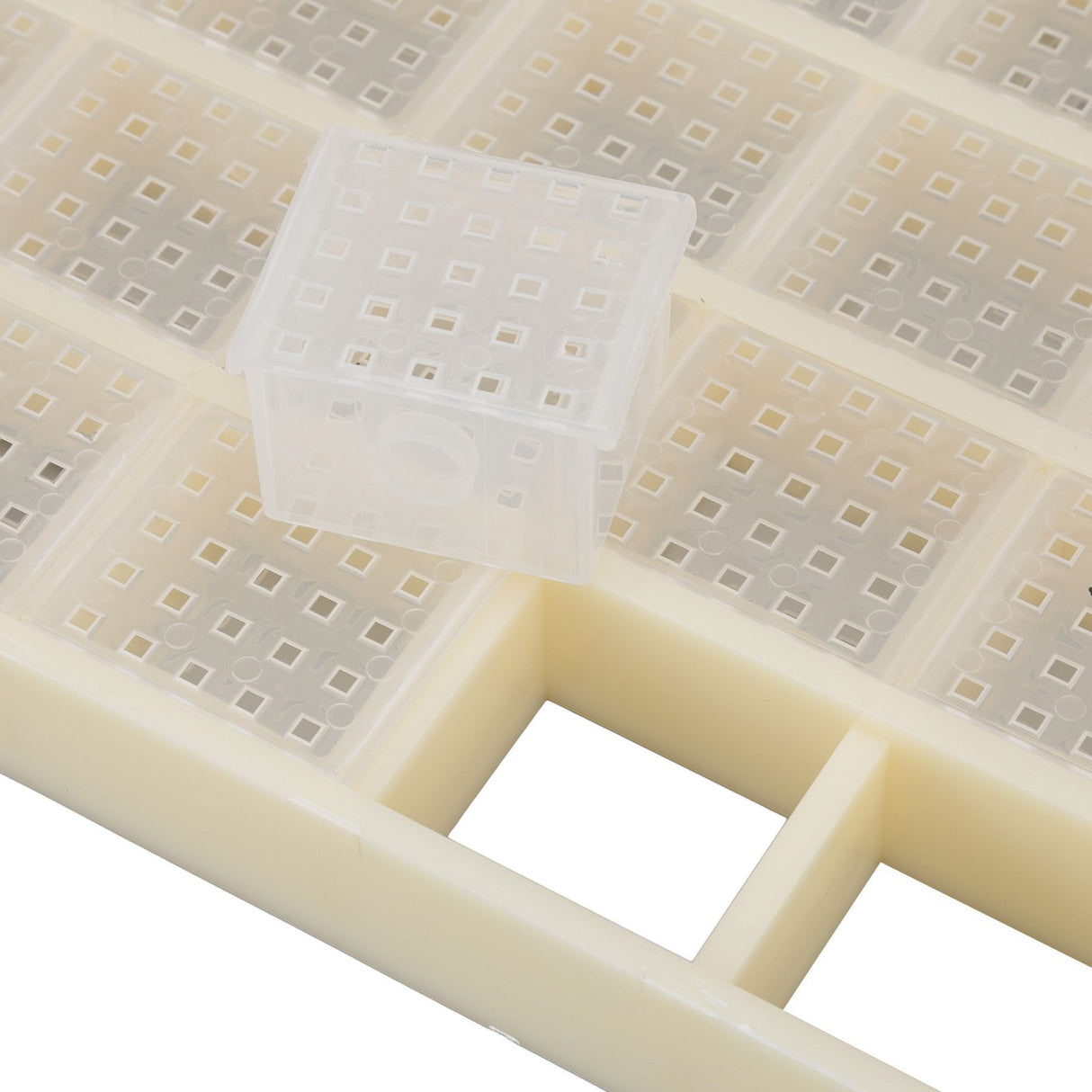 Queen Bee Storage Device Multifunctional Plastic Bee Storage Cage for Queen Rearing