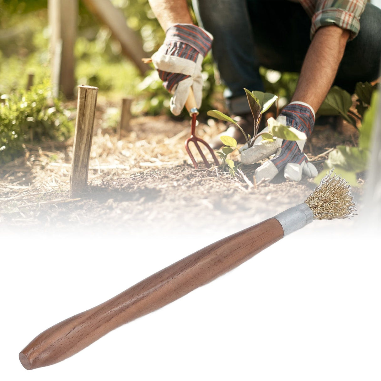 Steel Wire Brush Wearable Rust Proof Wood Handle Professional Bonsai Cleaning Tool for Potted Plants