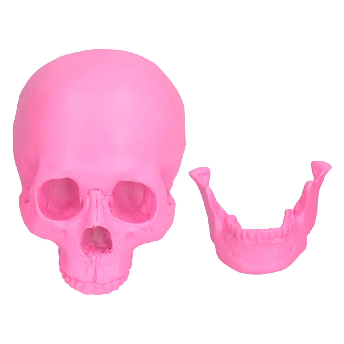 Resin Halloween Skull Decor Festival Home Props Fake Whole Person Skull Ornaments Pink