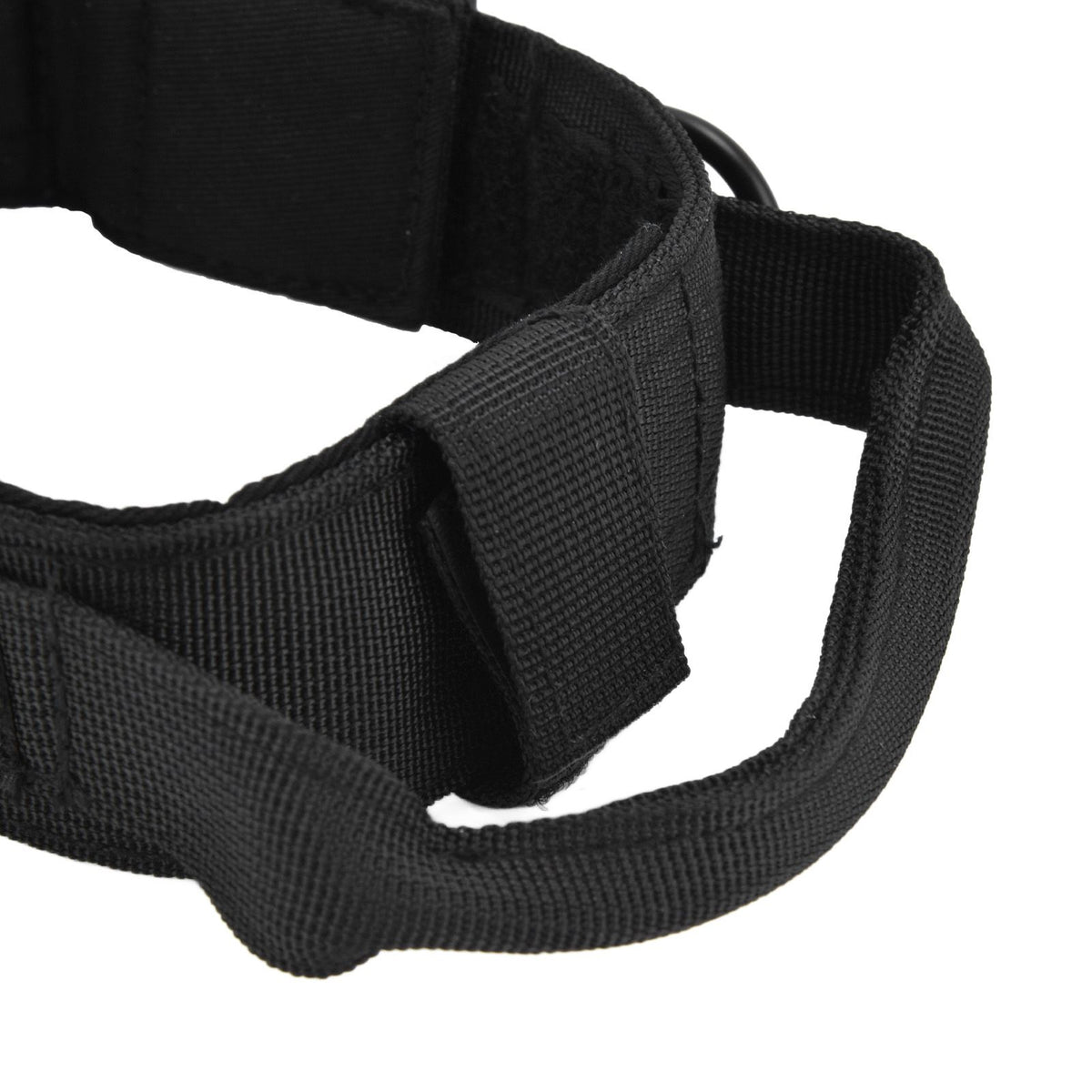 Traction Dog Collar with Buckle Nylon Iron Training Hunting Collar Pet Accessory for OutdoorBlack XL