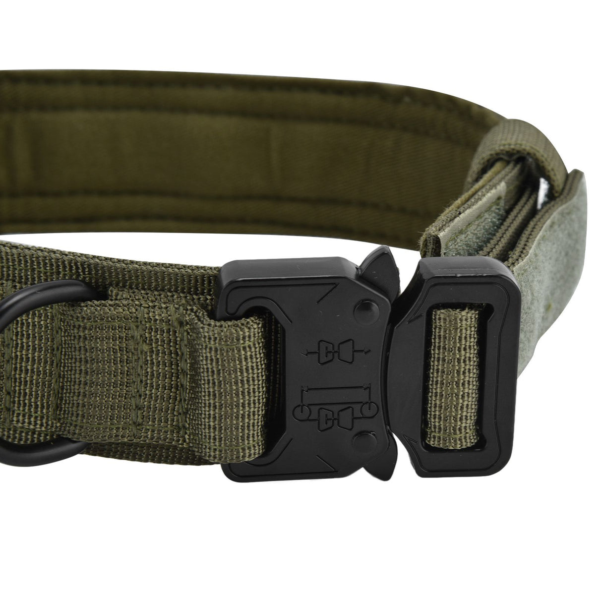 Traction Dog Collar with Buckle Nylon Iron Training Hunting Collar Pet Accessory for OutdoorGreen M