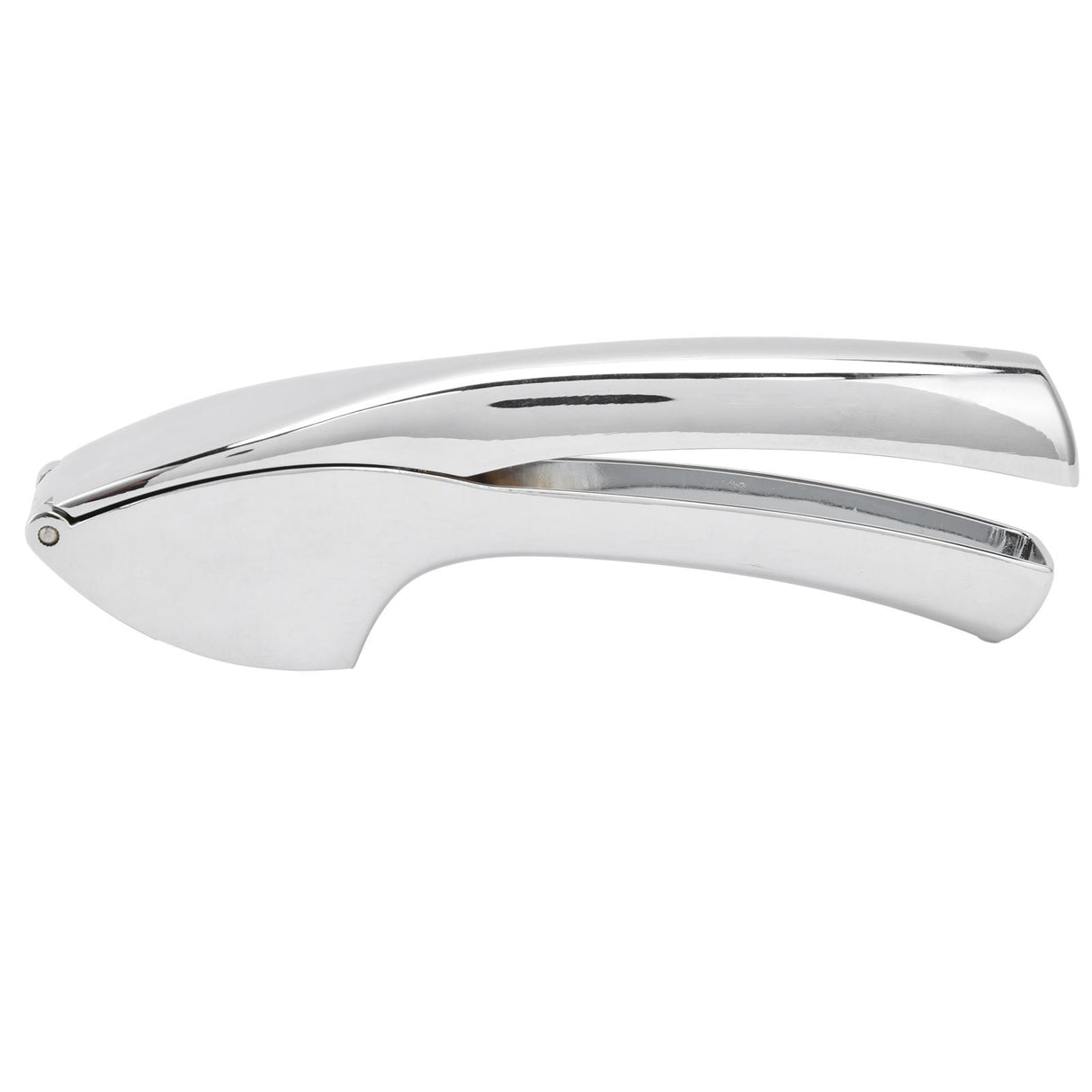 Garlic Press Zinc Alloy Sturdy Ergonomic Design Ginger Masher for Kitchen Crushing Tool