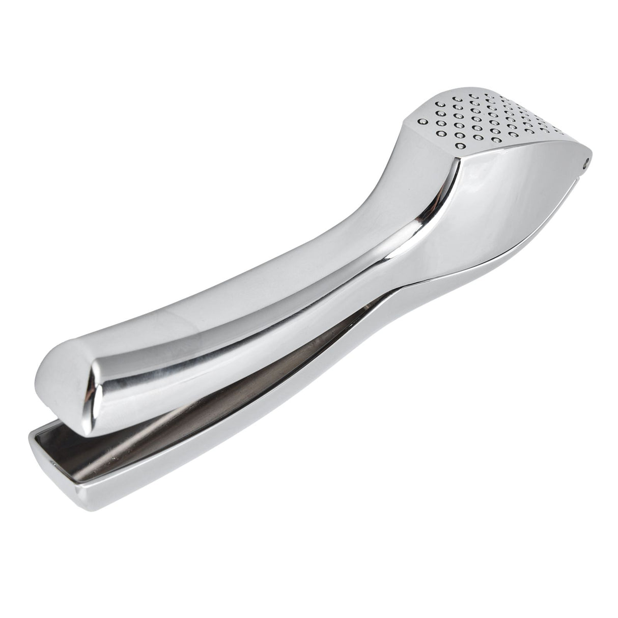 Garlic Press Zinc Alloy Sturdy Ergonomic Design Ginger Masher for Kitchen Crushing Tool