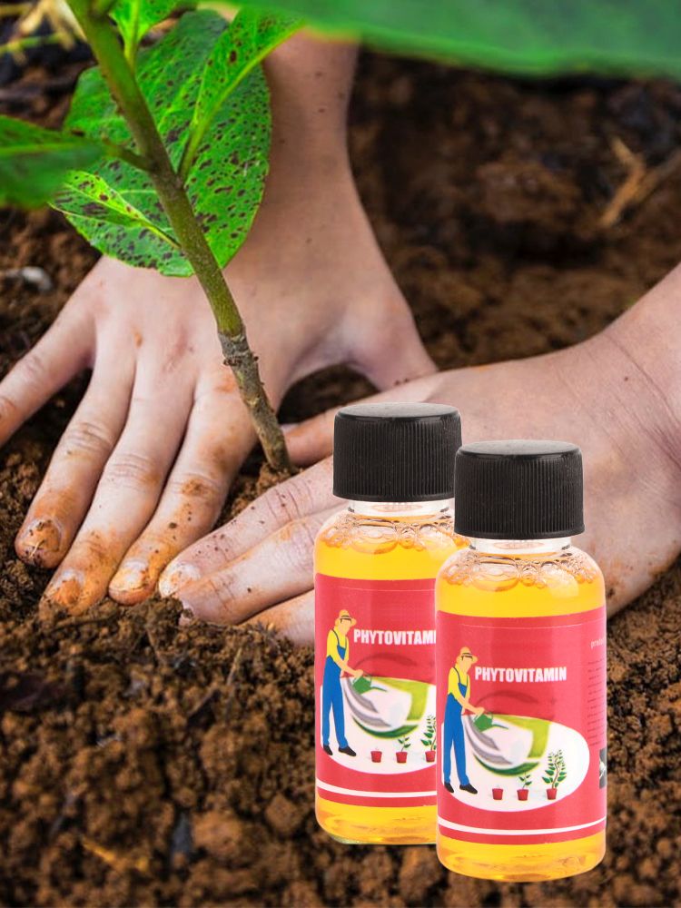 Household Plant Rooting Energizer Activates Fast Rooting Plant Nutrient Solution for Stiff Seedlings