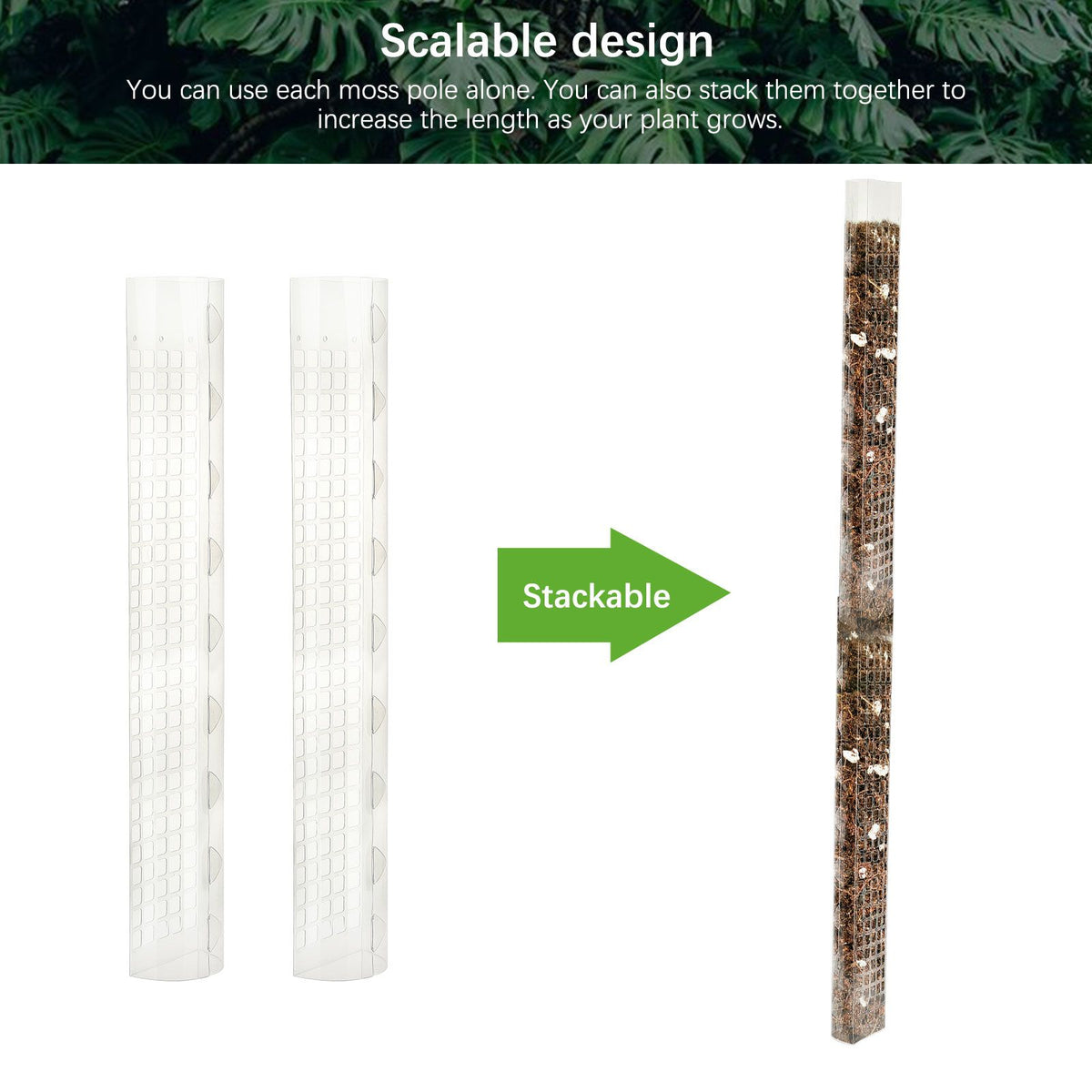 Plant Plastic Moss Pole Moss Supports Climbing Plant Poles Tortoise Back Moss Rod for Plant Posts and Peat