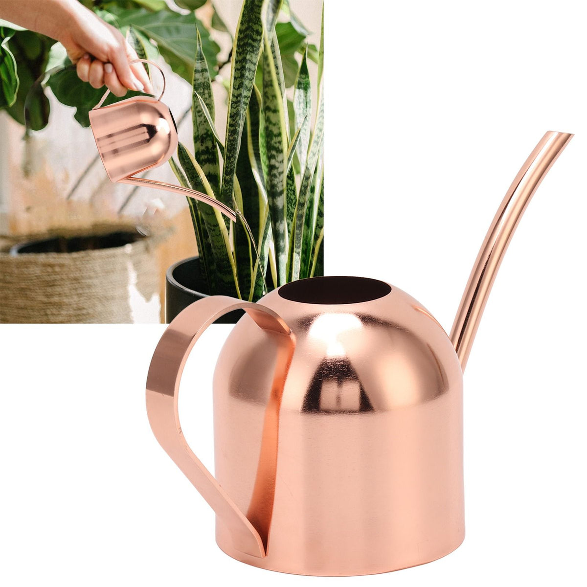 Watering Can for House Bonsai Garden Flower Outdoor Indoor Plants Long Spout Pot Stainless Steel Rose Gold