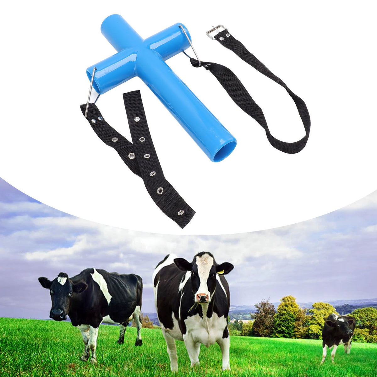 Livestock Mouth Opener Animal Gastric Lavage Feeding Medicine Cross Tool for Cattle Horse Sheep Blue L