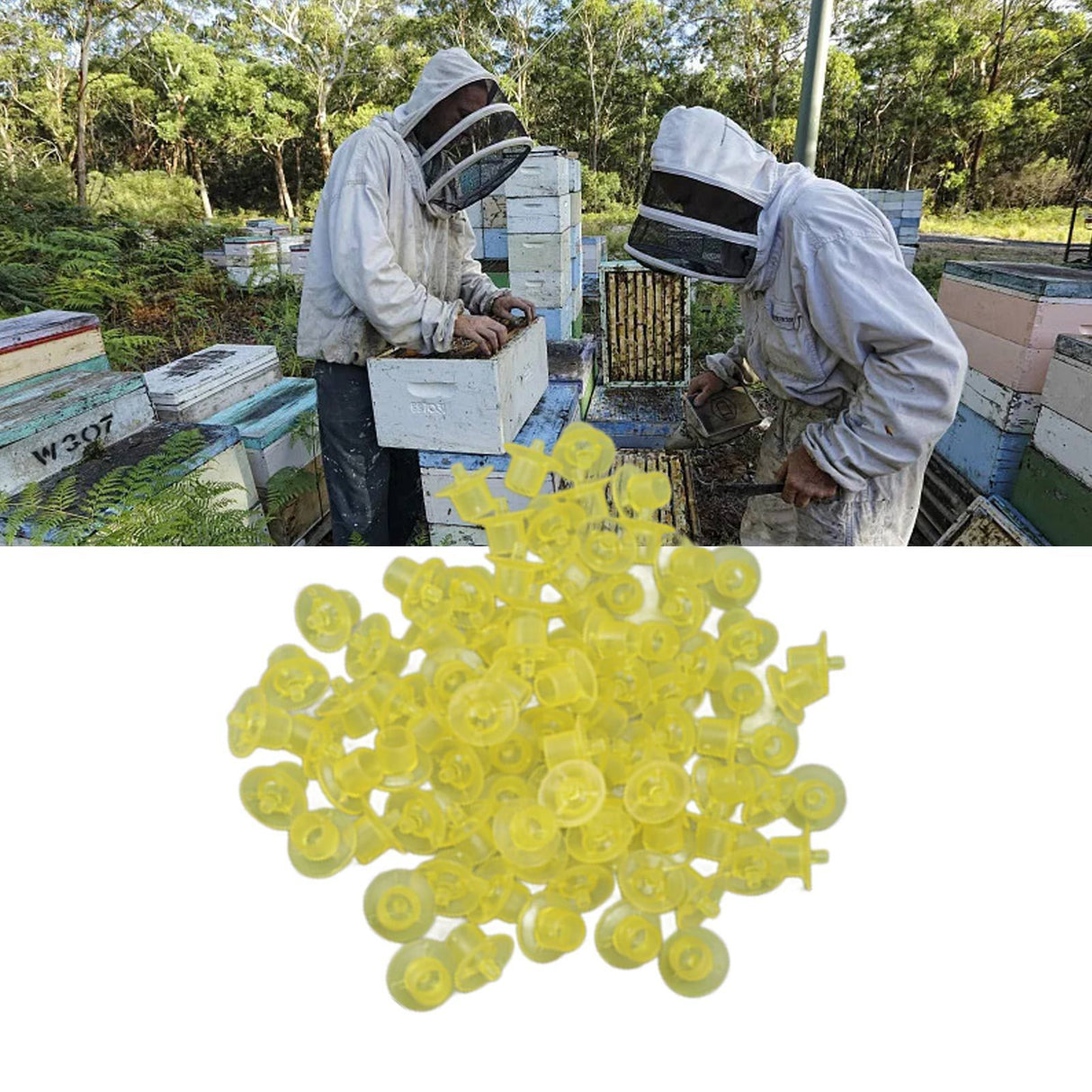 100PCS Queen Bee Rearing Cup Plastic Vivid Color Beekeeping Bee Cell Cup for Beekeeper Yellow